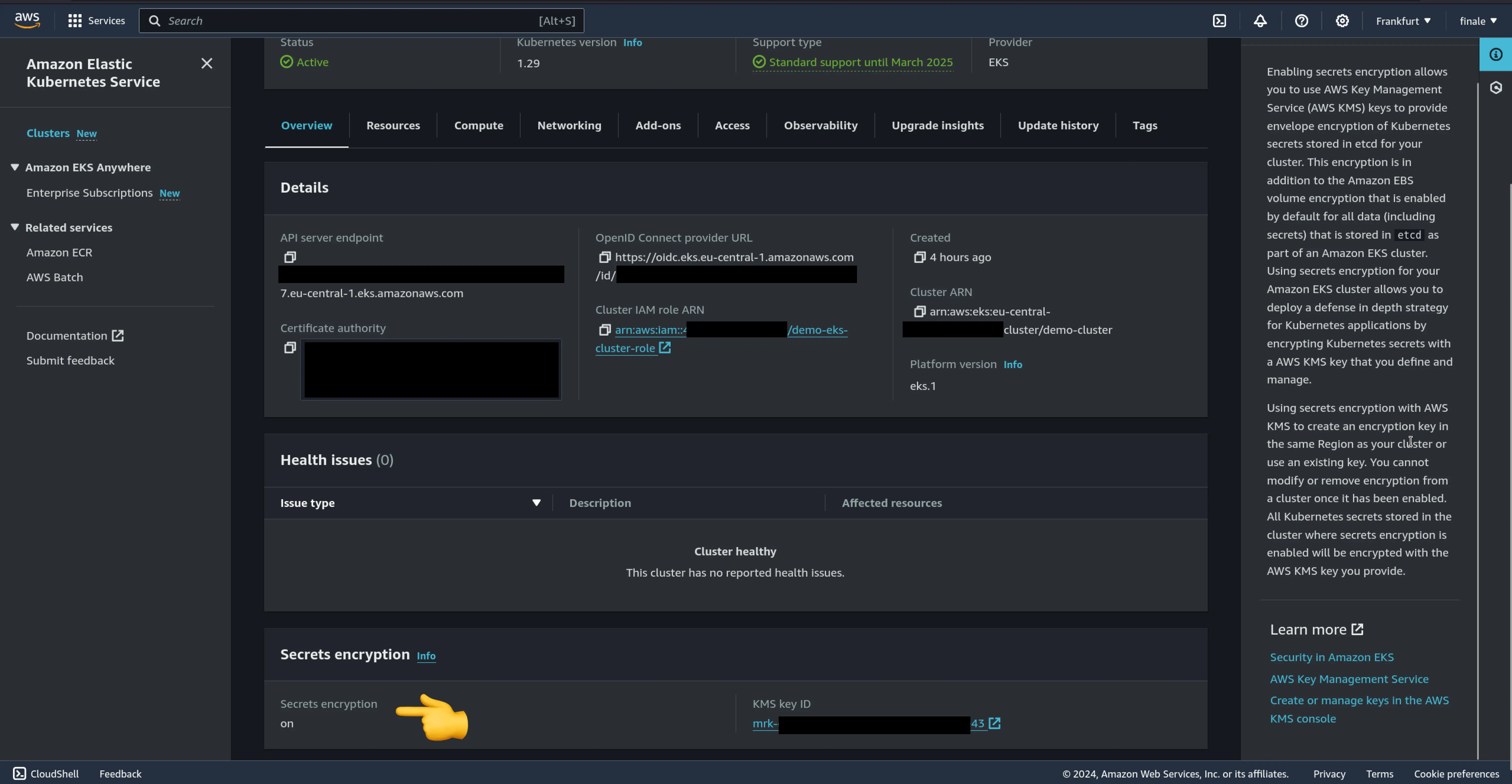 AWS EKS Cluster View Secret Encryption CMK